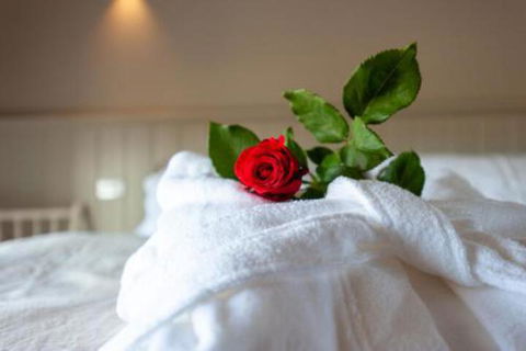 Fellcroft Farmstay - Phillip Island Accommodation 7