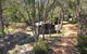 Gum Grove Chalets - thumb 2