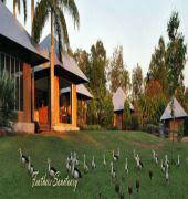 Feathers Sanctuary - Phillip Island Accommodation 6