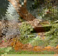 Spencer Cottage - Phillip Island Accommodation