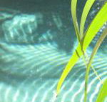 Artizen - Phillip Island Accommodation