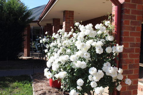 Gundaroo Manor Bed & Breakfast - Phillip Island Accommodation 1