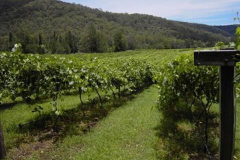 Cedar Creek Cottages - Phillip Island Accommodation 2