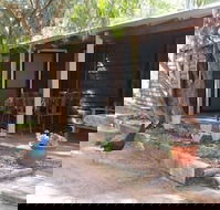 Kerriley Park Farm Stay - Phillip Island Accommodation