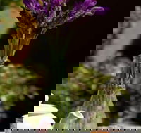 At Eleven - Phillip Island Accommodation