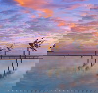 Global Backpackers Cairns