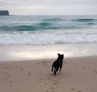 Breakers at Mudjimba Beach