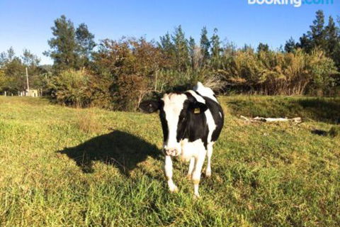 Old Schoolmasters Cottage On The Barrington River - Phillip Island Accommodation 1