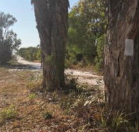 COONARR BEACH  BUNDABERG CAMPING - Phillip Island Accommodation