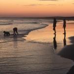 Cromarty Cottage 900m From Birubi Beach - Phillip Island Accommodation 0