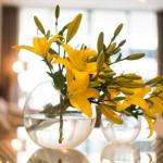 KUI Manhattan Apartments - Phillip Island Accommodation 0