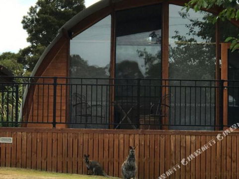 Bruny Island Accommodation 43 Degrees Beachside Studio Spa Apartments (1) - Phillip Island Accommodation 1