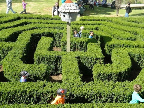 Home Near Shops & Beach - Phillip Island Accommodation 6