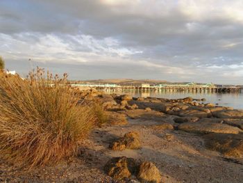 Port Lincoln Holiday Houses - Phillip Island Accommodation 4