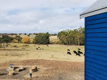 In2thewild Walden - Phillip Island Accommodation 1