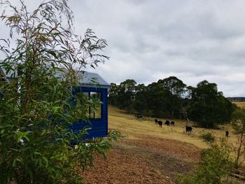 In2thewild Walden - Phillip Island Accommodation 4