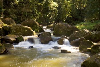 The Cedars Cottages - Phillip Island Accommodation 2