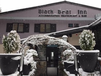 Black Bear Inn - Phillip Island Accommodation 0