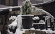 Black Bear Inn - thumb 2