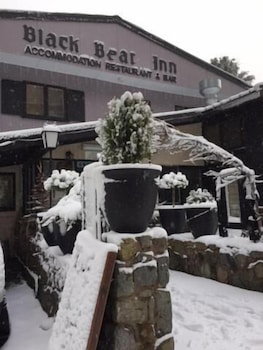 Black Bear Inn - Phillip Island Accommodation 2