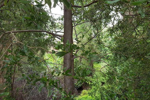 Wilsons Promontory Motel - Phillip Island Accommodation 5