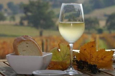 Outlook Hill Pavilion Suites & Spa Cottages - Phillip Island Accommodation 2