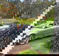 Valley Farm Vineyard Cottages - Phillip Island Accommodation