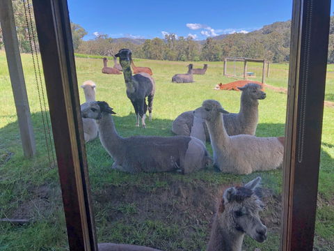 Valley Farm Vineyard Cottages - Phillip Island Accommodation 2