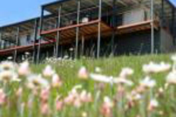 Abels Bay TAS Phillip Island Accommodation