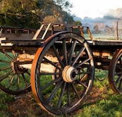 Toorongo River Sanctuary - Phillip Island Accommodation