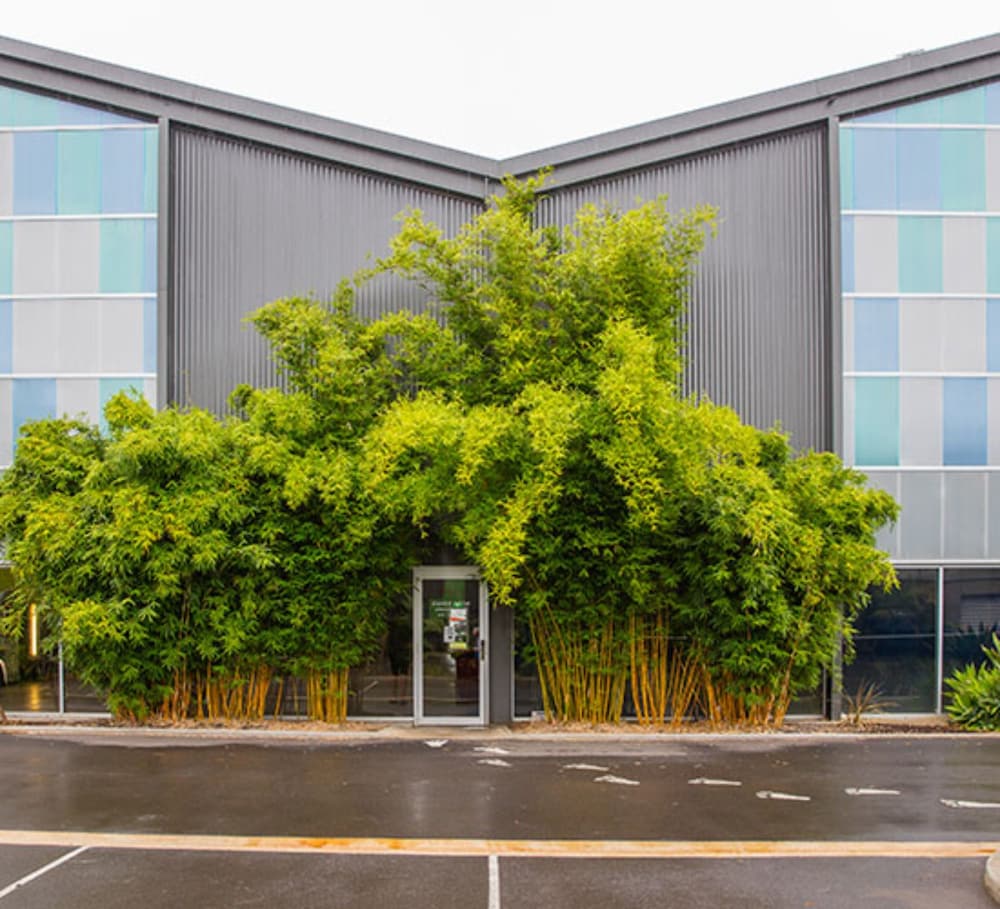  Phillip Island Accommodation