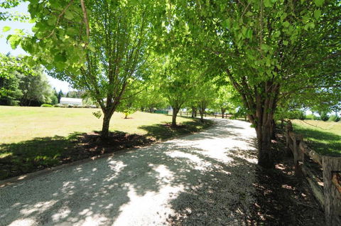 Daisy Cottage - Phillip Island Accommodation 7