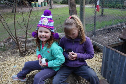 Fernleigh Farmstay & Bike Park - Phillip Island Accommodation 3