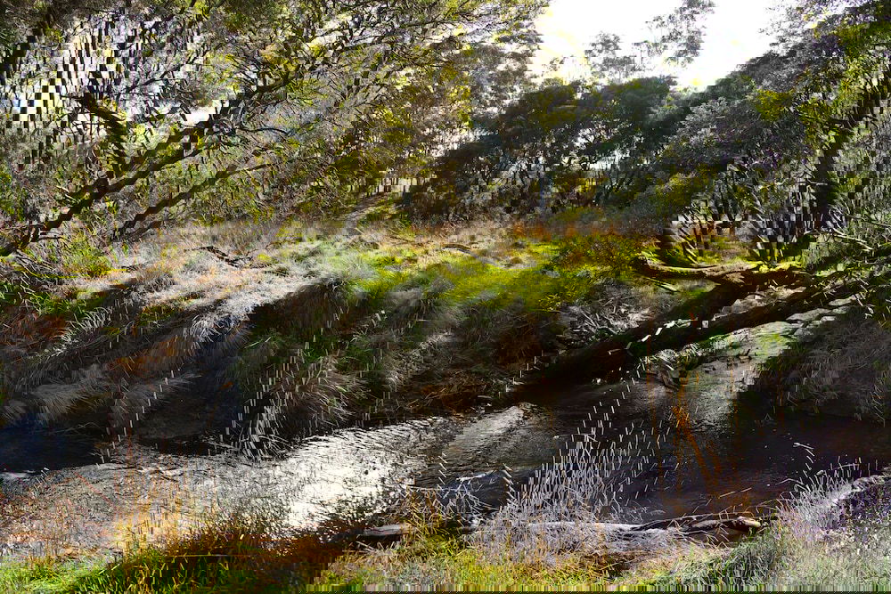 Glenlyon VIC Phillip Island Accommodation