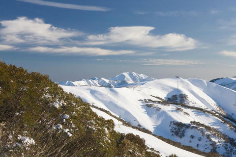 Absollut - Phillip Island Accommodation 5