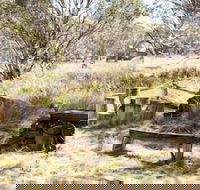 Wrens View - Phillip Island Accommodation
