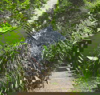 Montagues of Montville - Phillip Island Accommodation