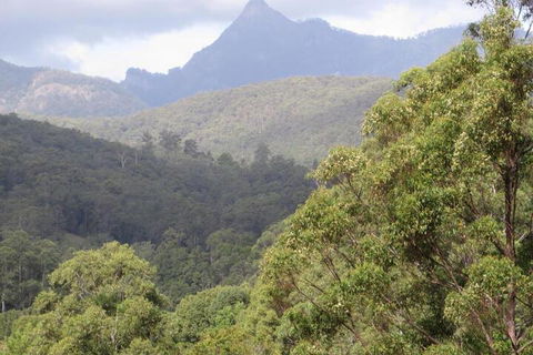 Babbling Brook Retreat - Phillip Island Accommodation 7