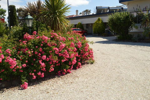 Wattle Grove Motel Maryborough - Phillip Island Accommodation 4