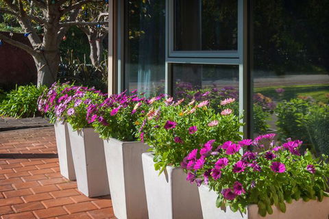 Bayshore Beachside Resort - Phillip Island Accommodation 5