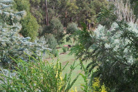Riverwood Retreat - Phillip Island Accommodation 4