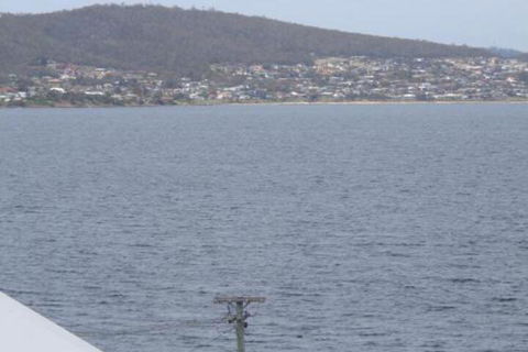 Chapman Street Townhouse Bellerive HobartTasmania - Phillip Island Accommodation 4