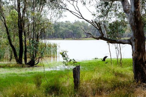 Lydoun Motel - Phillip Island Accommodation 5