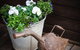 Mornington Bed And Breakfast - thumb 1