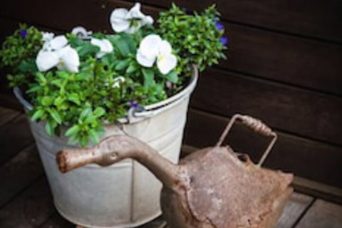 Mornington Bed And Breakfast - Phillip Island Accommodation 1