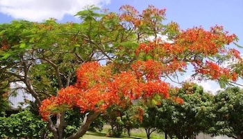 Eastwood Farm - Phillip Island Accommodation 0