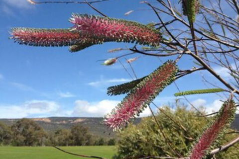 Blaze Rock Retreat - Phillip Island Accommodation 3