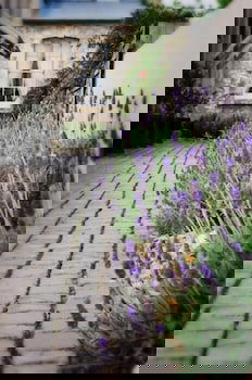 The Customs House B&B - Phillip Island Accommodation 3