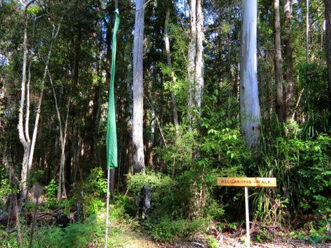 Yarralen Retreat - Phillip Island Accommodation 4