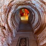 Venushill B+B - Phillip Island Accommodation 0